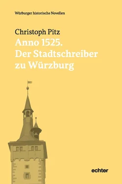 Christoph Pitz Anno 1525: Der Stadtschreiber zu Würzburg обложка книги