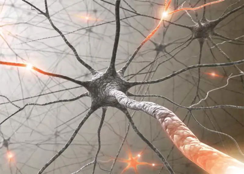 Zusätzlich hilft HRVBiofeedback bei der Bewältigung kritischer Lebensphasen - фото 6