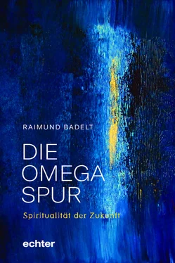 Raimund Badelt Die Omega-Spur обложка книги