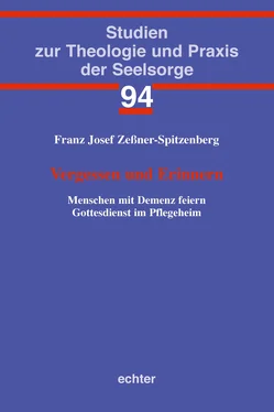 Franz Josef Zeßner-Spitzenberg Vergessen und Erinnern обложка книги