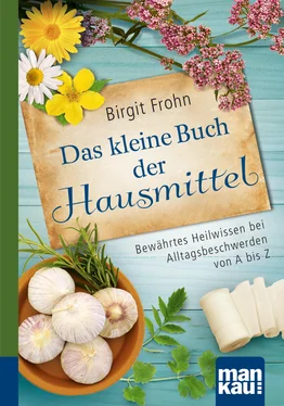 Birgit Frohn Das kleine Buch der Hausmittel. Kompakt-Ratgeber обложка книги