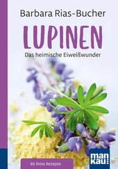 Barbara Rias-Bucher - Lupinen. Kompakt-Ratgeber