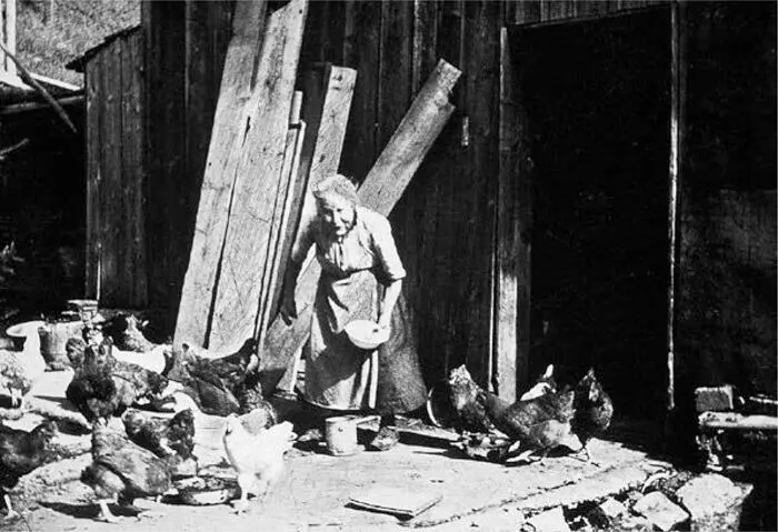 Frieda Baumann mit ihren Hühnern Die Herschmettler Nachbarin weckt im kleinen - фото 7