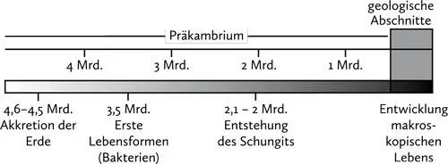 Wenn man die abgebildete Skala betrachtet wird die gigantische Dauer des - фото 25