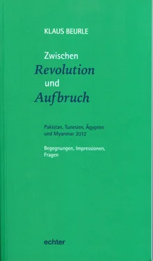 Klaus Beurle Zwischen Revolution und Aufbruch обложка книги