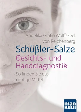 Angelika Gräfin Wolffskeel von Reichenberg Schüßler-Salze - Gesichts- und Handdiagnostik обложка книги