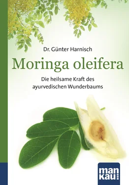 Gunter Harnisch Moringa oleifera. Kompakt-Ratgeber обложка книги