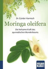 Gunter Harnisch - Moringa oleifera. Kompakt-Ratgeber