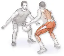Basketball spielen verlangt wie jede andere Sportart auch alle körperlichen - фото 13