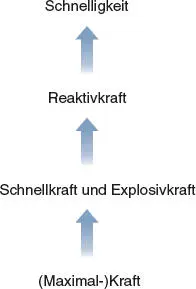 Abbildung 11Hierarchie athletischer Entwicklung Abgewandelt nach einer - фото 14