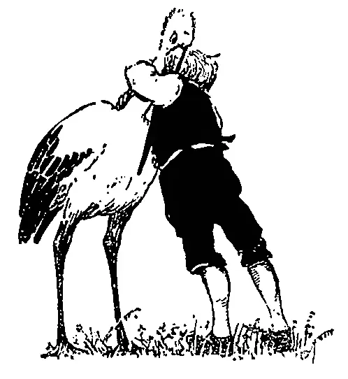 Тут Муц бросился на шею Черному Фраку и так крепко прижал его к своей груди - фото 17