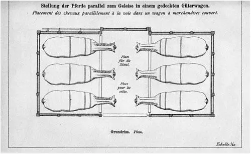 Illustration 7Transport des chevaux par wagon daprès le règlement du 3 - фото 15