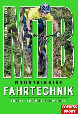 Sascha Bamberg Mountainbike Fahrtechnik обложка книги