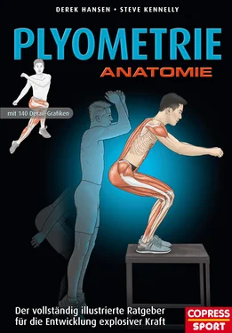 Derek Hansen Plyometrie Anatomie обложка книги