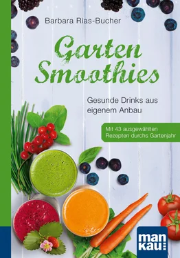 Barbara Rias-Bucher Garten-Smoothies. Kompakt-Ratgeber обложка книги