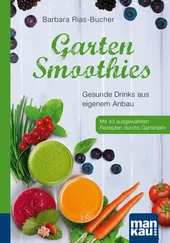 Barbara Rias-Bucher - Garten-Smoothies. Kompakt-Ratgeber