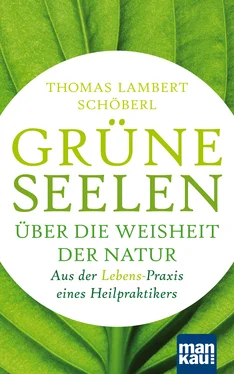 Thomas Lambert Schöberl Grüne Seelen. Über die Weisheit der Natur обложка книги