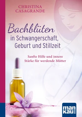Christina Casagrande Bachblüten in Schwangerschaft,Geburt und Stillzeit. Kompakt-Ratgeber обложка книги