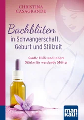 Christina Casagrande - Bachblüten in Schwangerschaft,Geburt und Stillzeit. Kompakt-Ratgeber