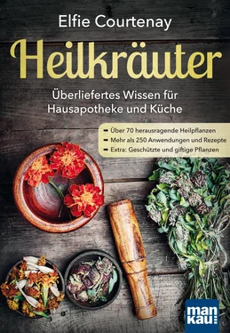 Elfie Courtenay Heilkräuter - Überliefertes Wissen für Hausapotheke und Küche обложка книги