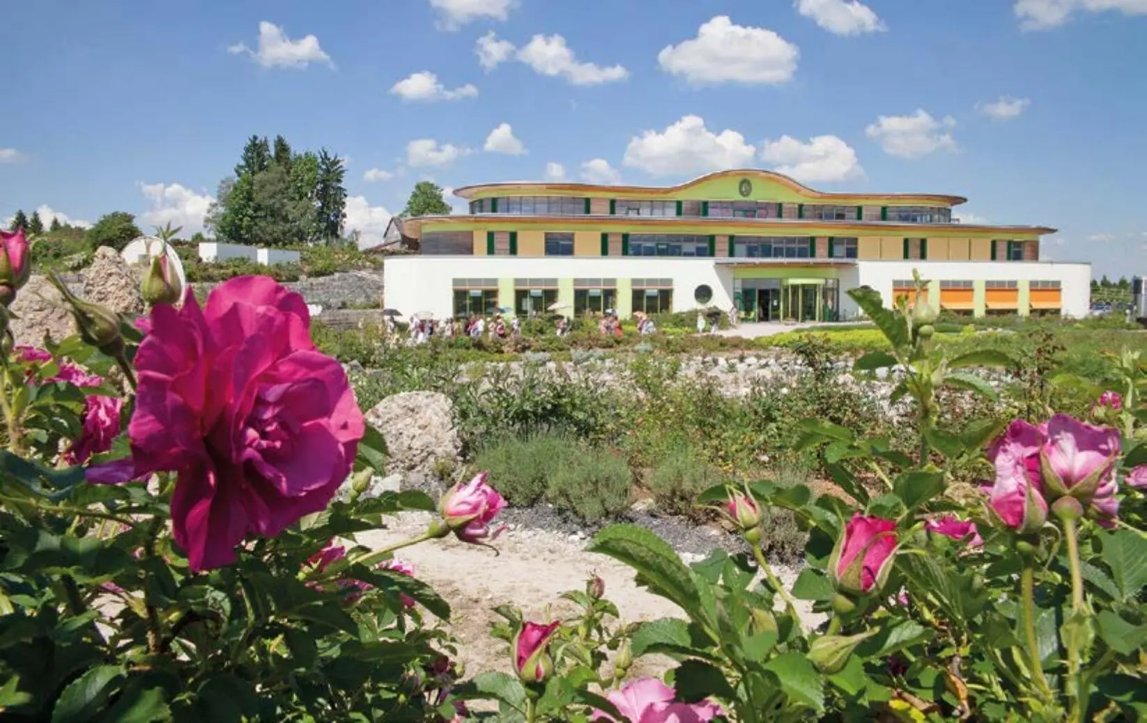 Der Rosengarten der Firma Primavera steht in voller Blüte Das PRIMAVERA Life - фото 27