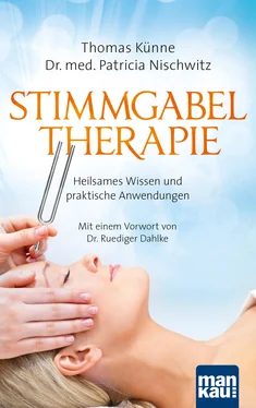 Thomas Künne Stimmgabeltherapie обложка книги