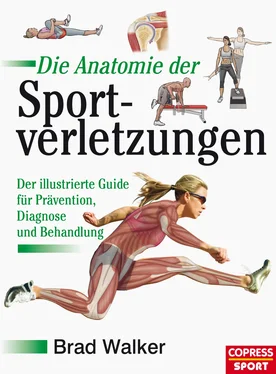 Brad Walker Die Anatomie der Sportverletzungen обложка книги