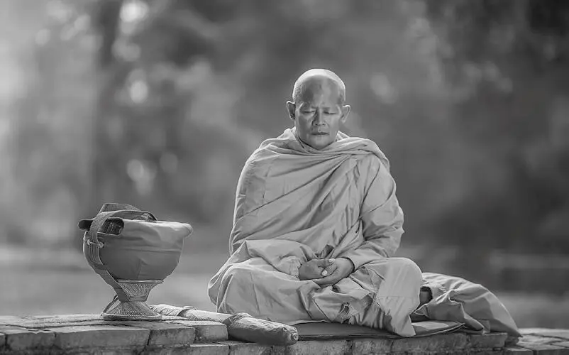 Dies ist einer der wunderbaren Eigenschaften des ayurvedischen - фото 8