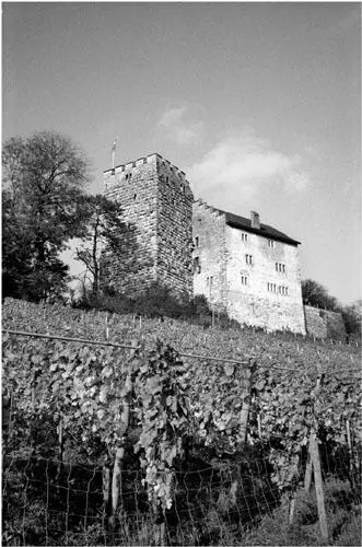 Der noch erhaltene Teil der Habsburg besteht aus der erst am Ende des 12 - фото 3