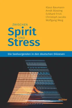 Eckhard Frick Zwischen Spirit und Stress обложка книги