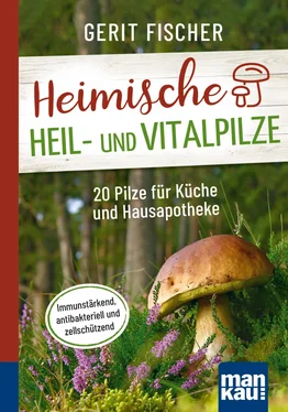 Gerit Fischer Heimische Heil- und Vitalpilze. Kompakt-Ratgeber обложка книги