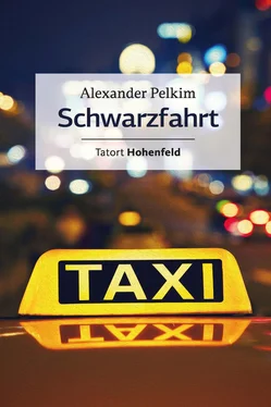 Alexander Pelkim Schwarzfahrt обложка книги