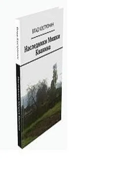 Влад Костромин Ночь сыроежек (СИ) обложка книги