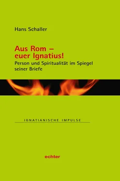Hans Schaller Aus Rom - euer Ignatius! обложка книги