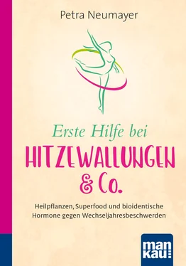 Petra Neumayer Erste Hilfe bei Hitzewallungen & Co. Kompakt-Ratgeber обложка книги