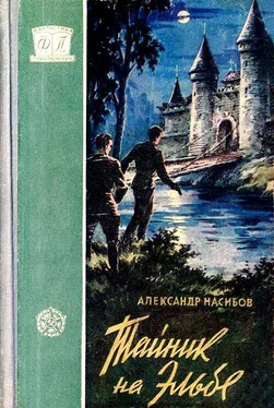 Александр Насибов Тайник на Эльбе. обложка книги