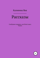 Яна Калинина - Свободное падение, или Полет вниз. Туман. Рассказы