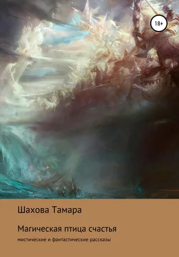 Тамара Шахова Магическая птица счастья обложка книги