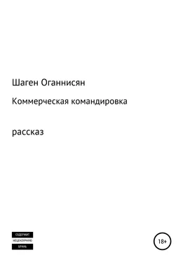 Шаген Оганнисян Коммерческая командировка обложка книги