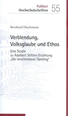 Bernhard Dieckmann Verblendung, Volksglaube und Ethos обложка книги