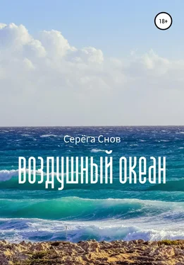 Серёга Снов Воздушный океан обложка книги