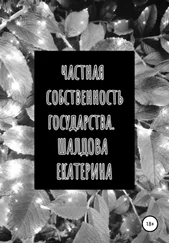 Екатерина Шалдова - Частная собственность государства