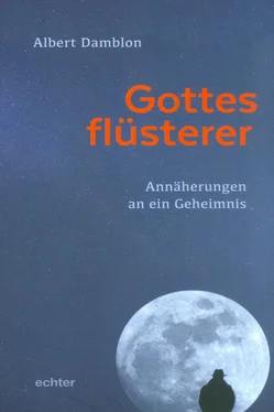 Albert Damblon Gottesflüsterer обложка книги
