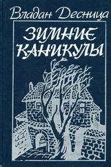 Владан Десница - Зимние каникулы