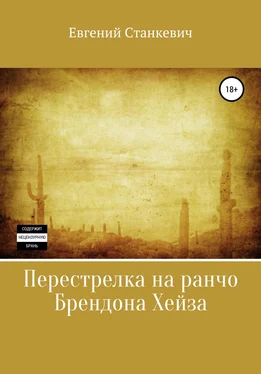 Евгений Станкевич Перестрелка на ранчо Брендона Хейза обложка книги