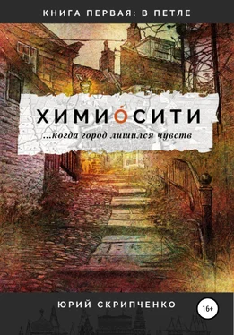 Юрий Скрипченко Химиосити обложка книги