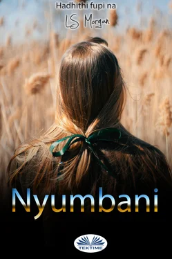 LS Morgan Nyumbani обложка книги