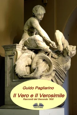 Guido Pagliarino Il Vero E Il Verosimile обложка книги