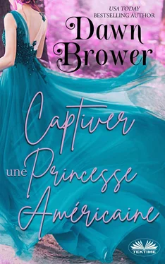 Dawn Brower Captiver Une Princesse Américaine обложка книги