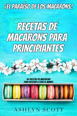 Ashlyn Scott Receta De Macarons Para Principiantes обложка книги